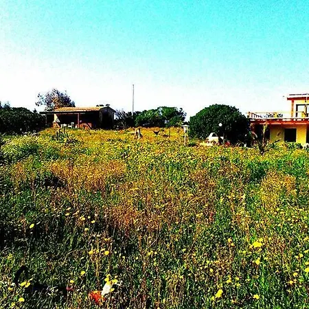 בית הארחה Eco Casa Maica Eco סטינטינו